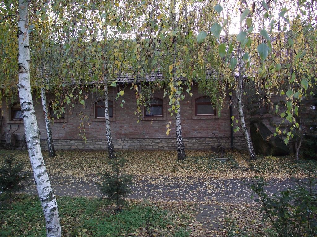 Szalma Vendeghaz Mogyorosbanya Exterior photo