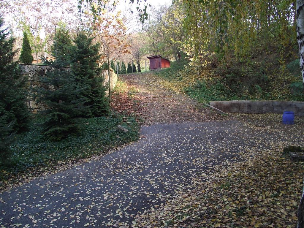 Szalma Vendeghaz Mogyorosbanya Exterior photo
