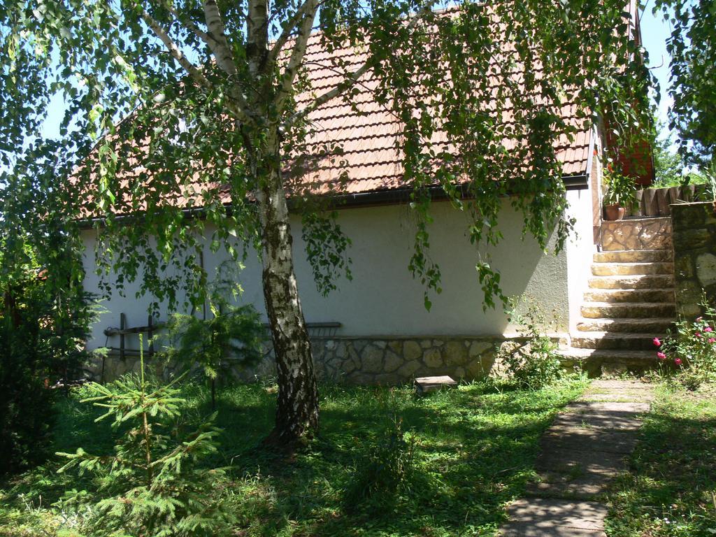 Szalma Vendeghaz Mogyorosbanya Exterior photo