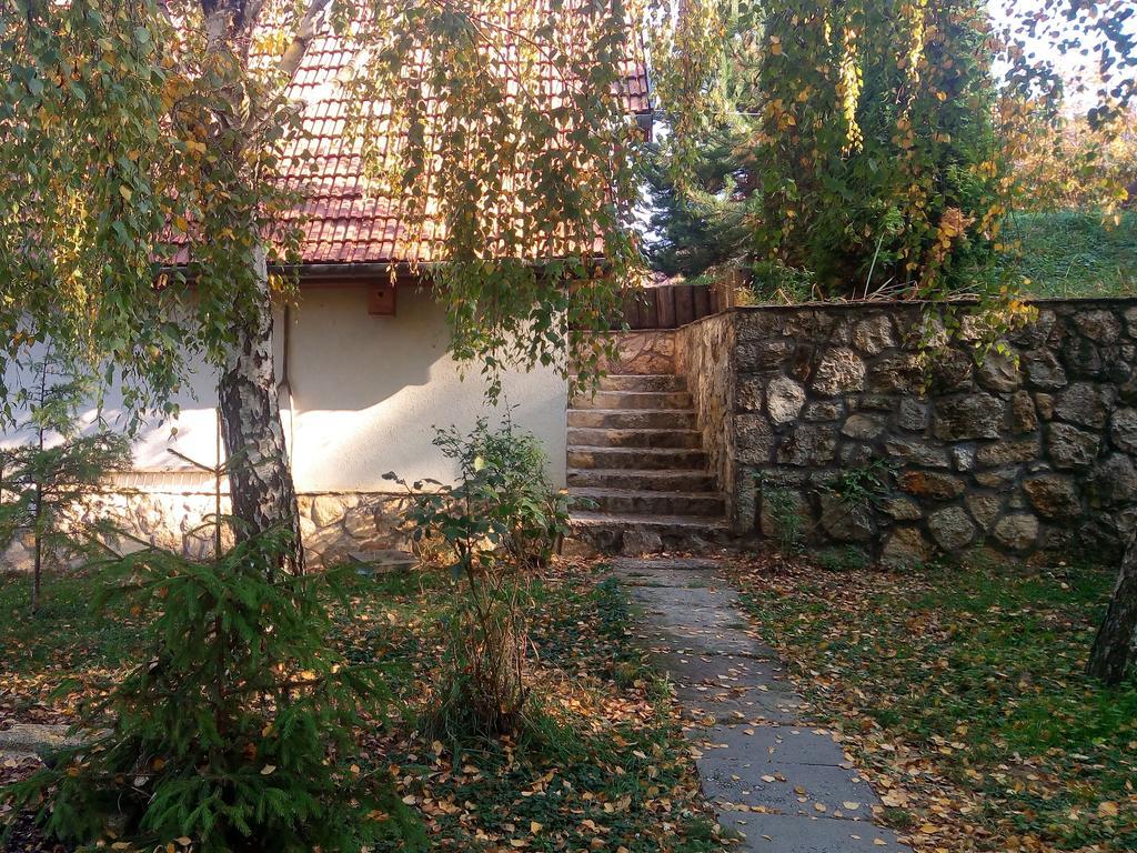 Szalma Vendeghaz Mogyorosbanya Exterior photo